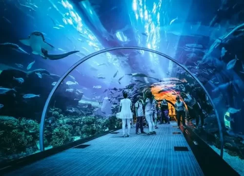 Aquarium and Under water zoo